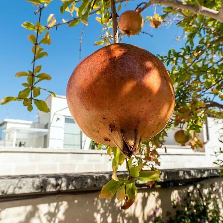 빌라 Palazzo P D'ajmo - Dimora Storica 레체