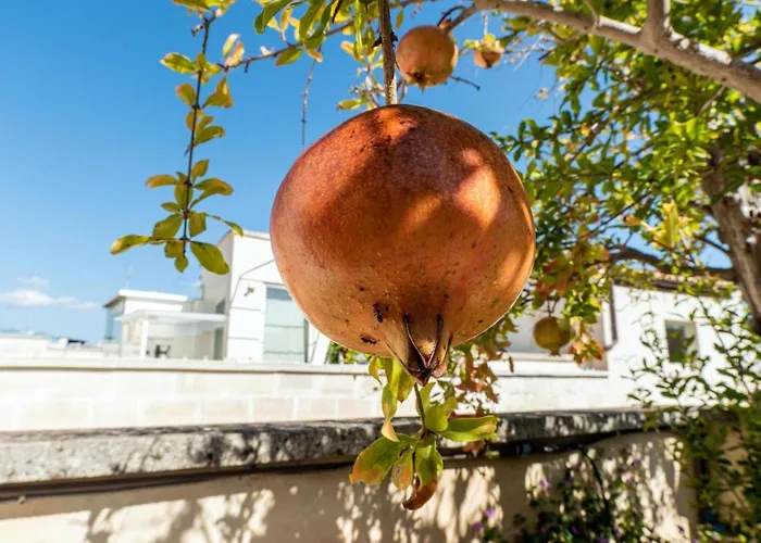 Villa Palazzo P D'ajmo - Dimora Storica Lecce